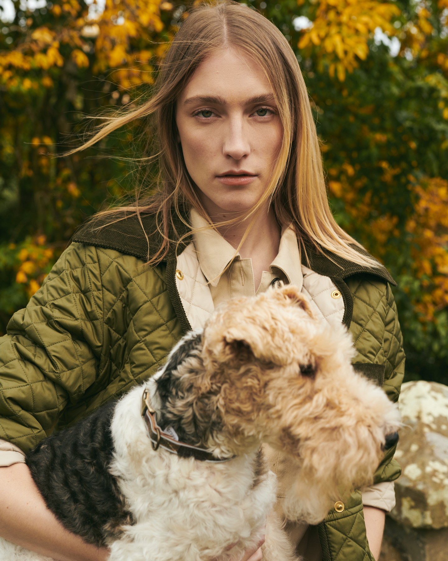 Barbour - Hundkollektion