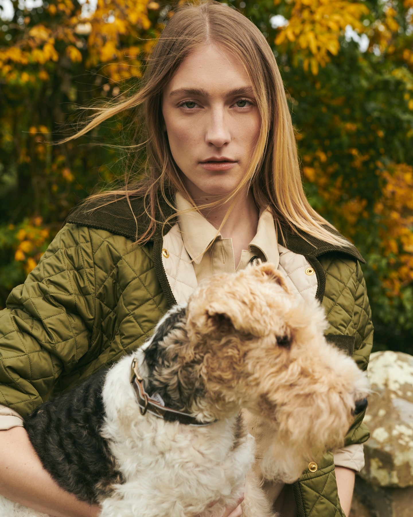 Barbour | Hundkollektion