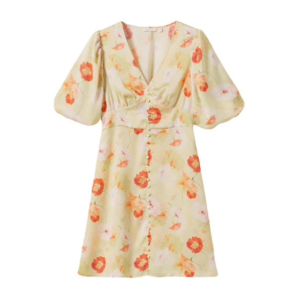 N-Lilliana Dress - Delina  Green Print