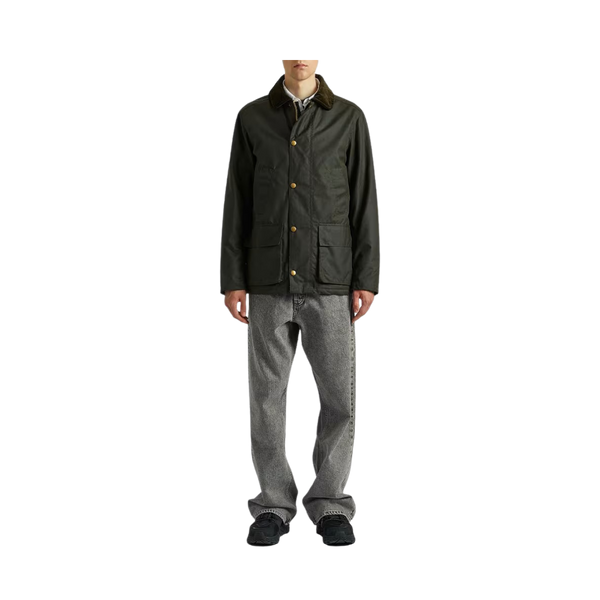Curtis - Olive