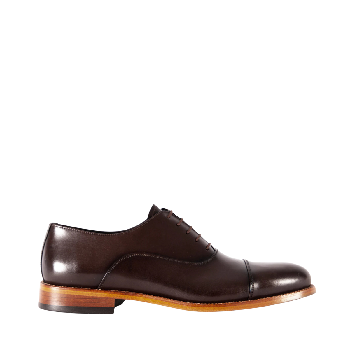 Bruno - 245 Brown