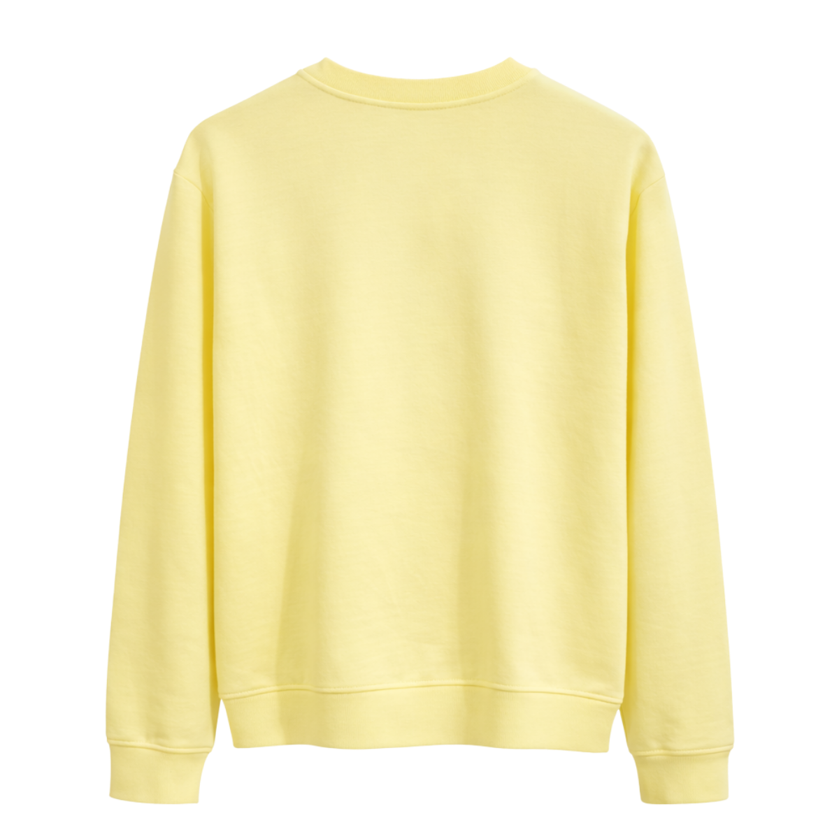 Basic Crewneck Sweatshirt - Abu Pulcino