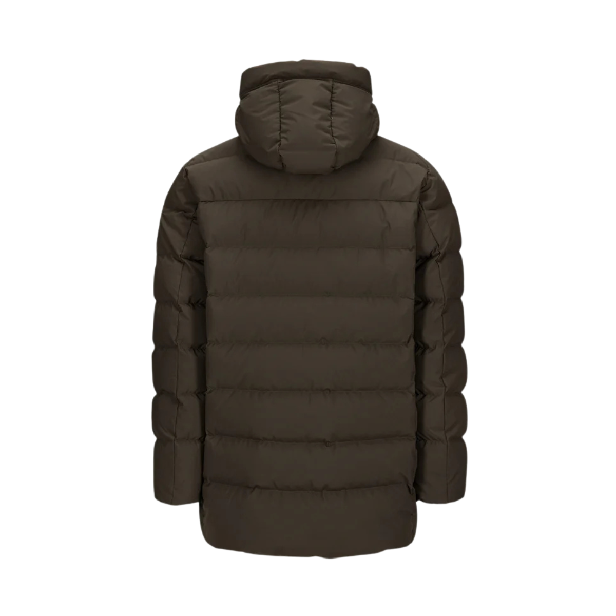 Carl Parka - Forrest