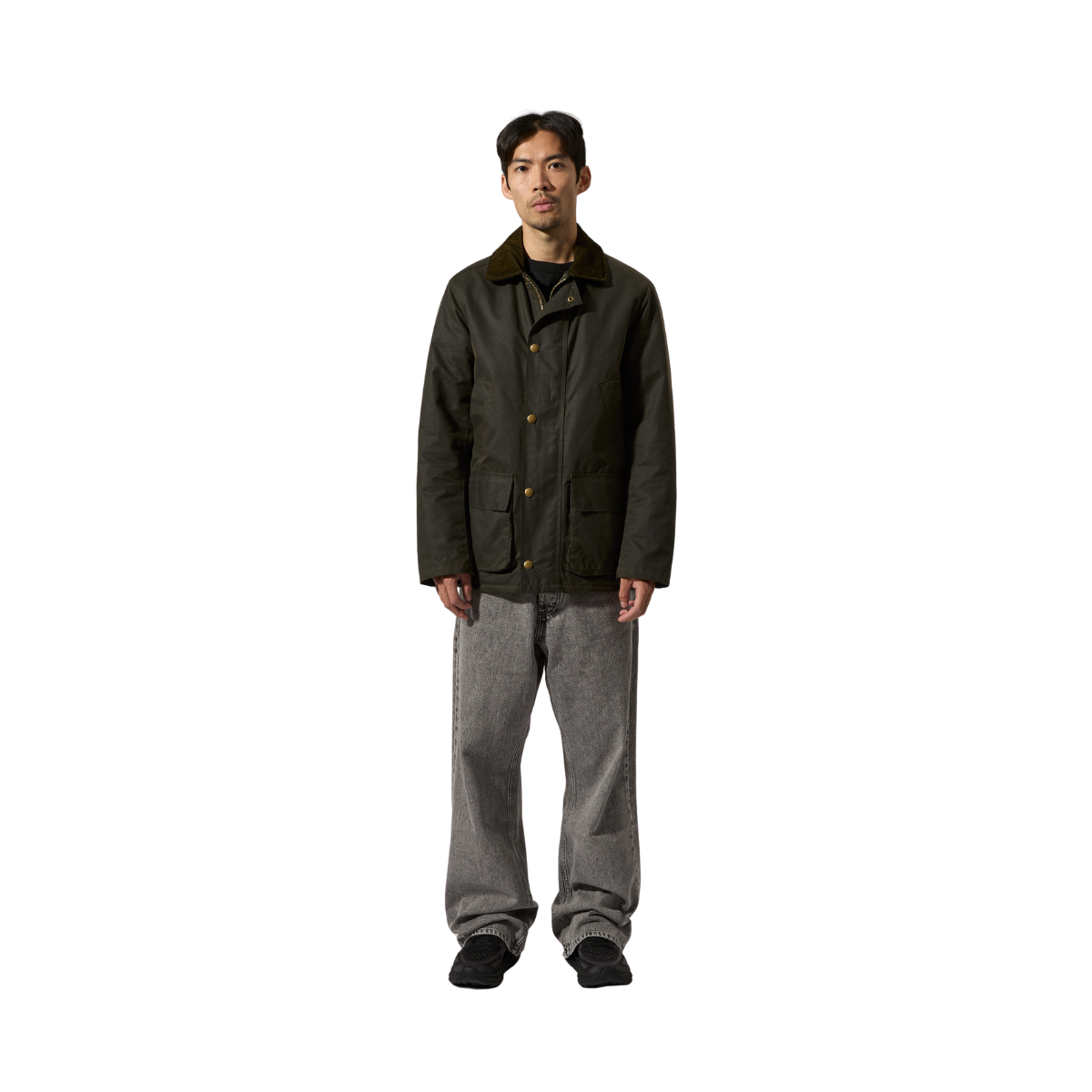 Curtis - Olive