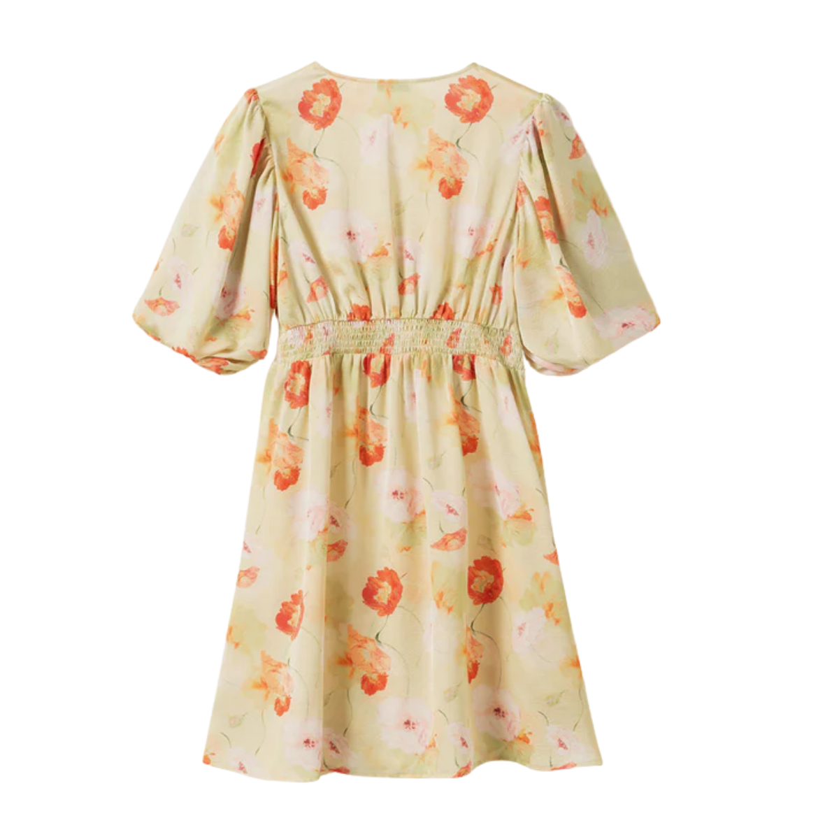 N-Lilliana Dress - Delina  Green Print