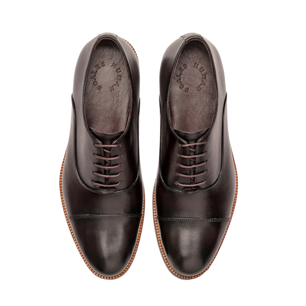 Bruno - 245 Brown