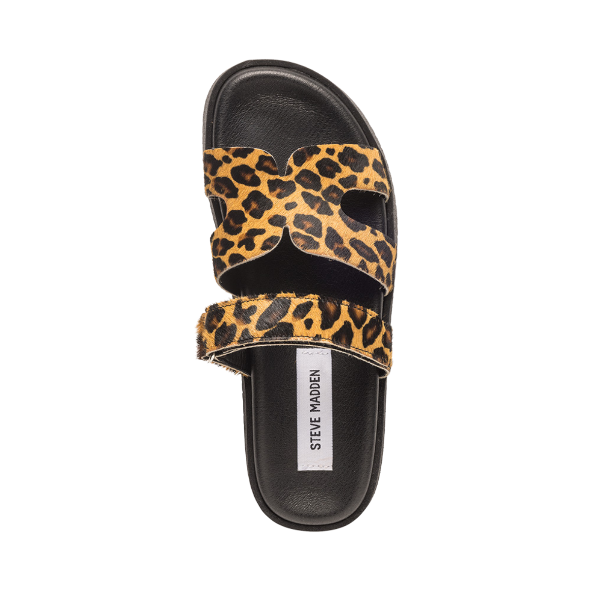 Missile-LC - LEOPARD