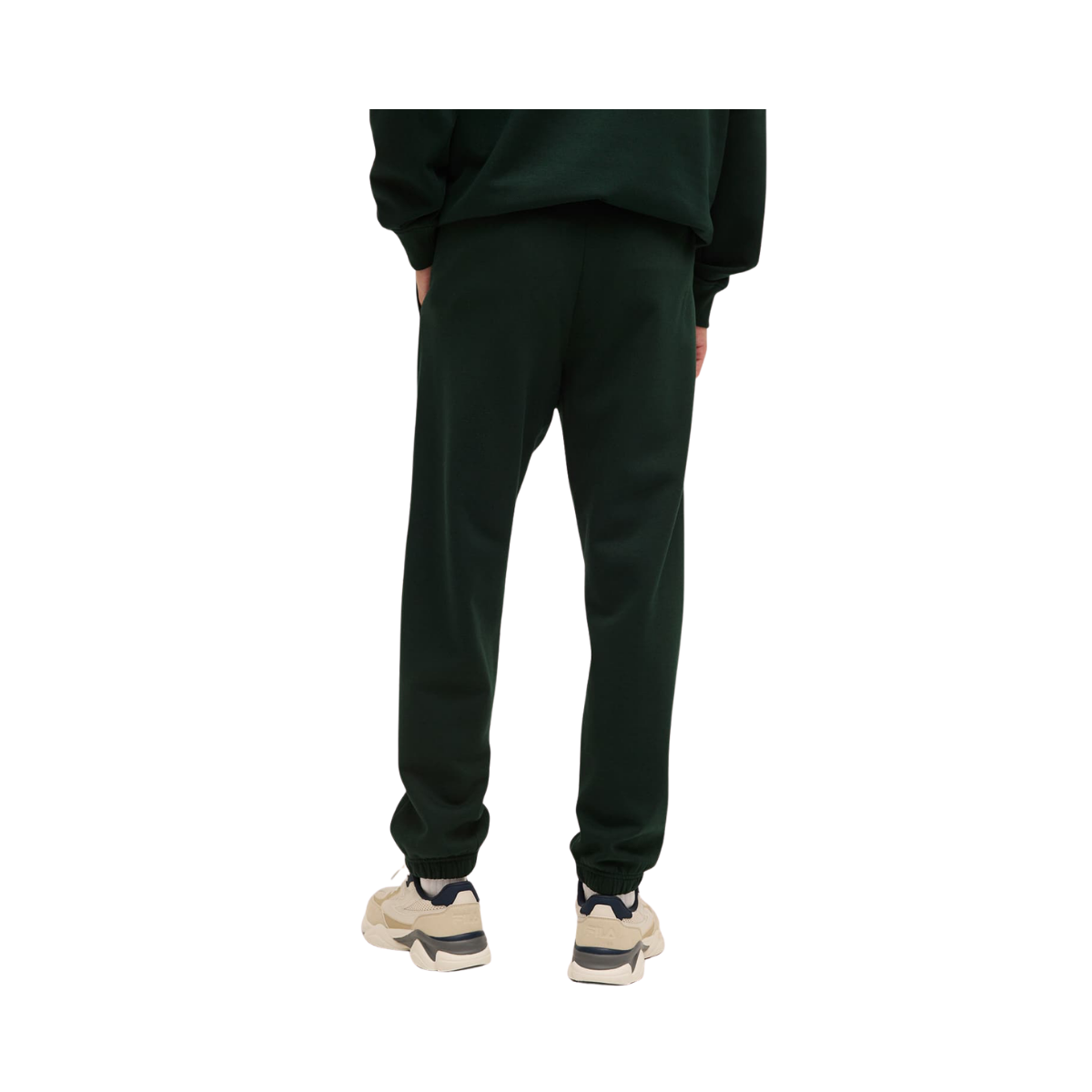 Andalo Graphic Brushed Sweatpants - Scarab