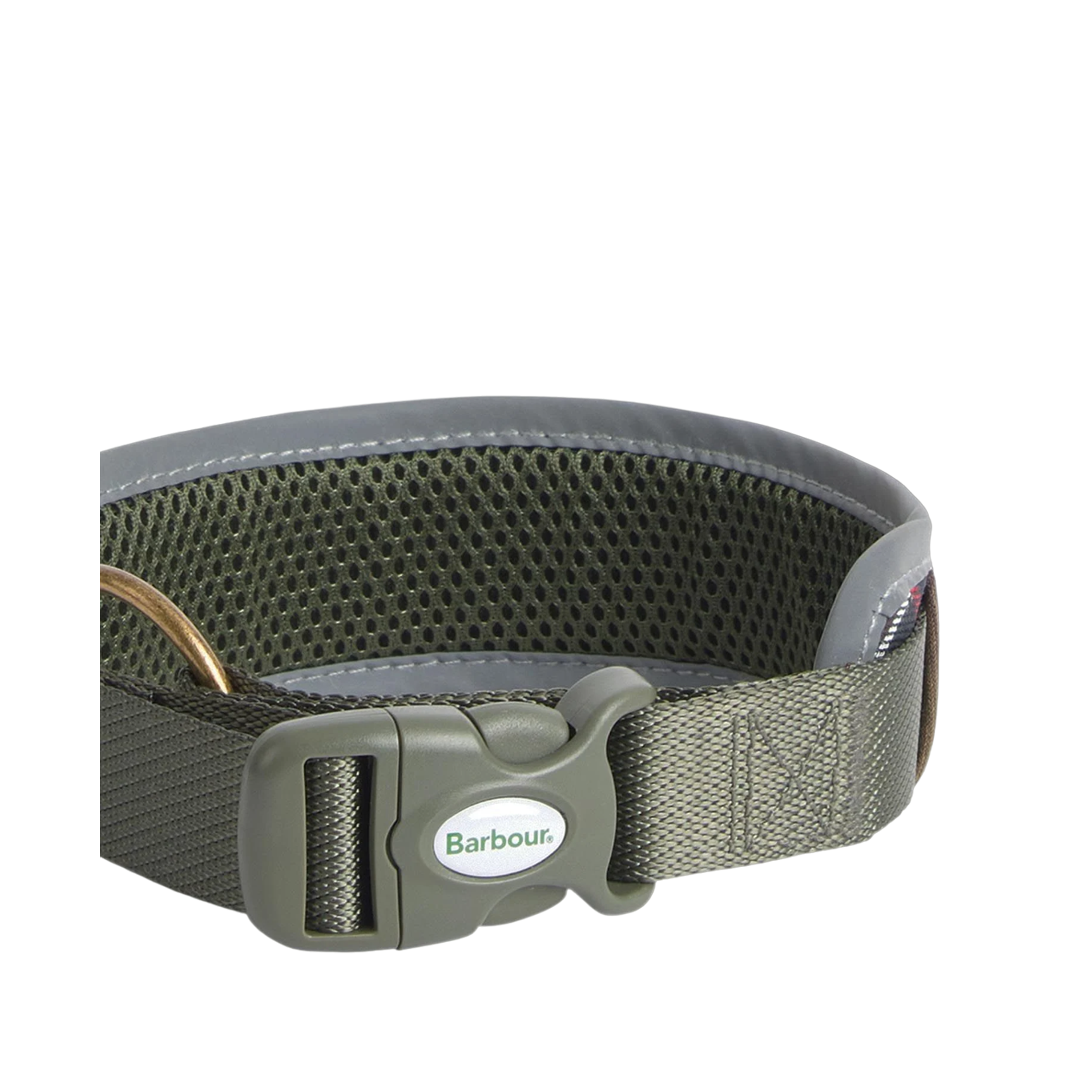 Reflective Tarta Collar - Green